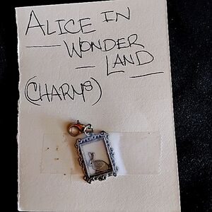 Whimsical Silver Wonderland Rabbit Charm